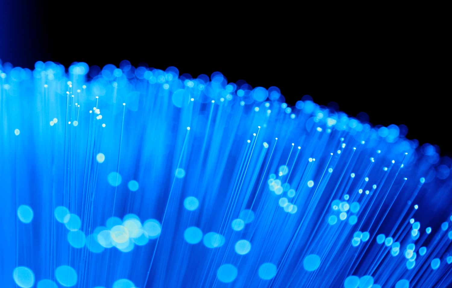 A cluster of glowing blue fibre optic tips