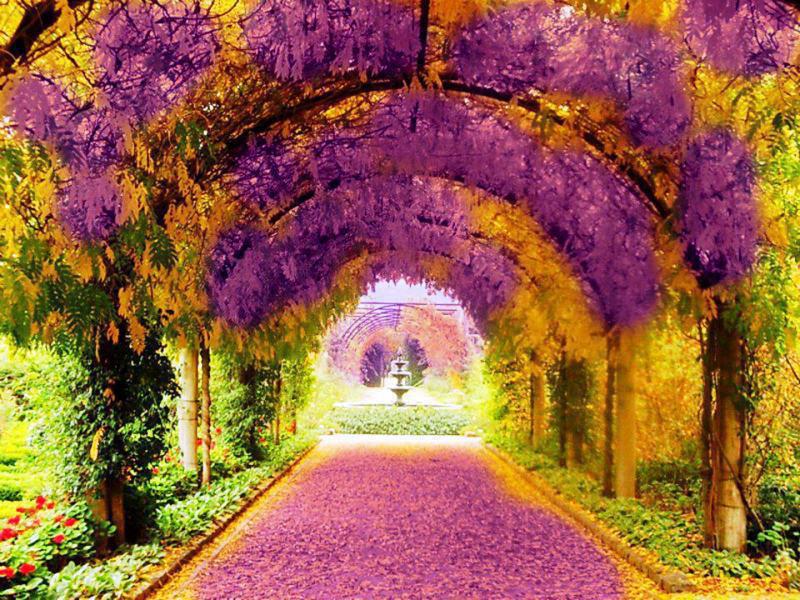 Flower garden walkway
